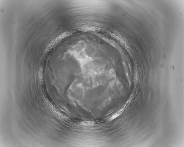 X0000087630353200705181506