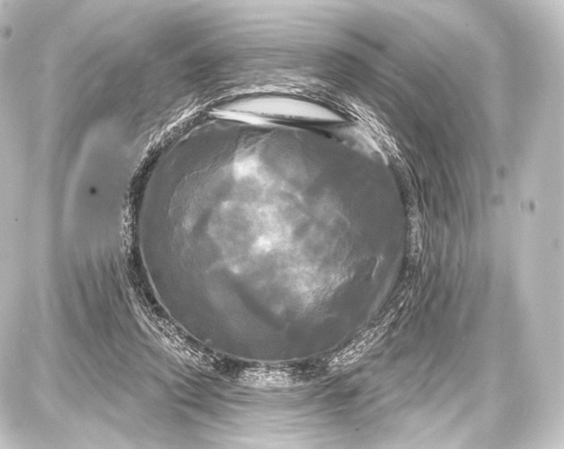 X0000087630354200705181506