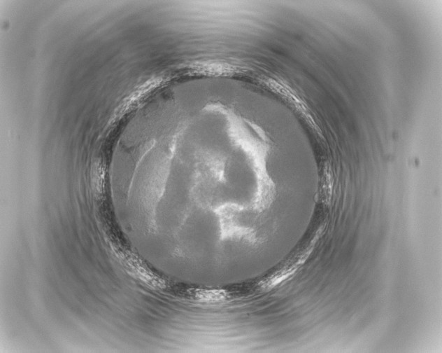 X0000087630355200705181506