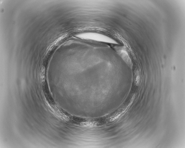 X0000087630356200705181506