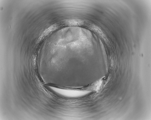 X0000087630357200705181506