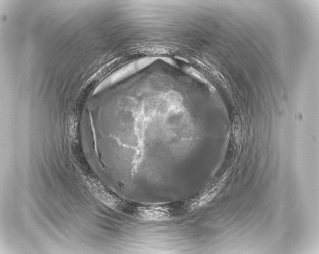 X0000087630359200705181506