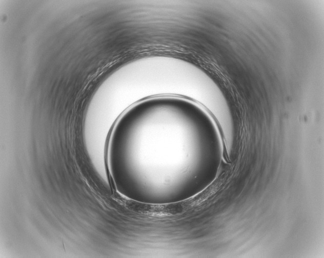 X0000087630360200705181506