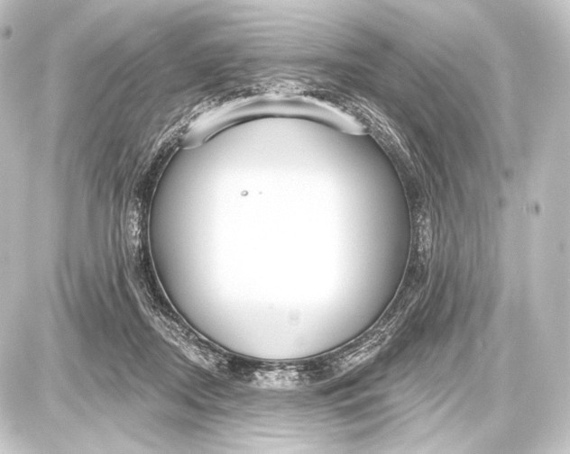 X0000087630362200705181506