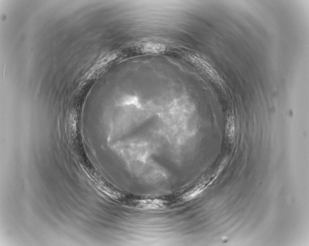 X0000087630363200705181506