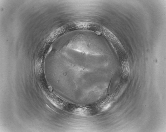 X0000087630364200705181506