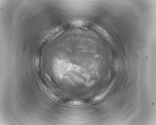 X0000087630365200705181506