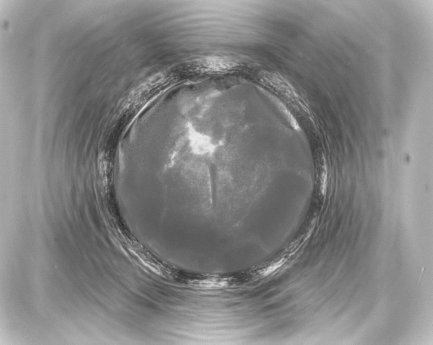 X0000087630366200705181506