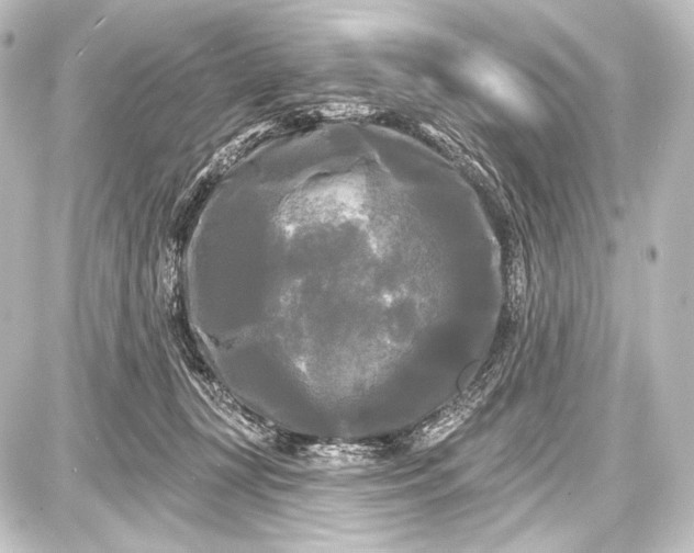 X0000087630367200705181506