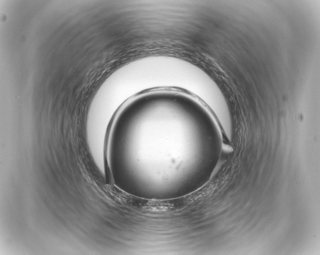 X0000087630368200705181506