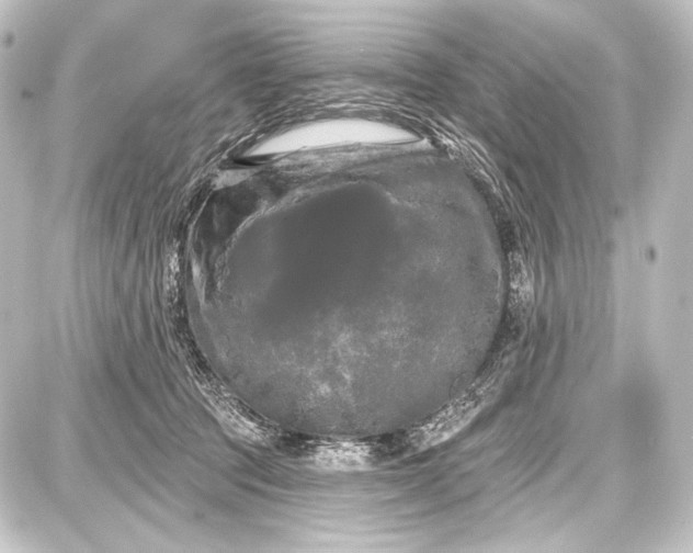 X0000087630369200705181506