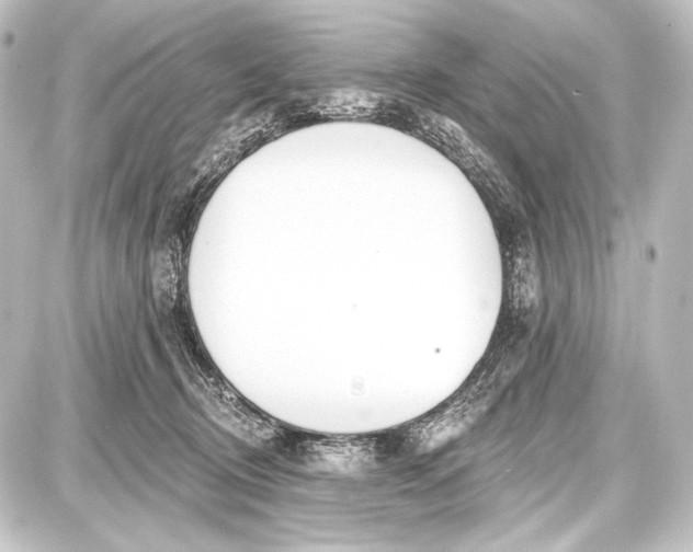 X0000087630370200705181506