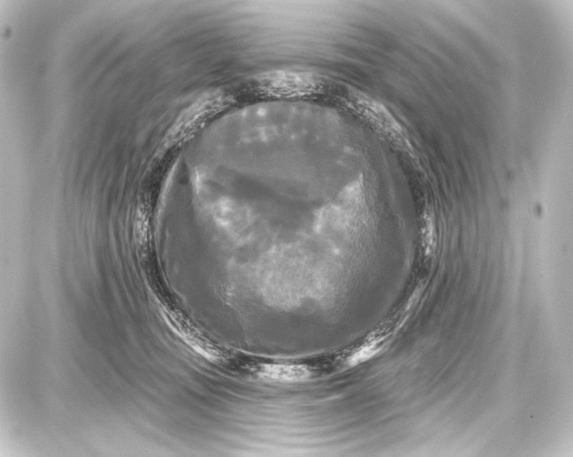 X0000087630371200705181506