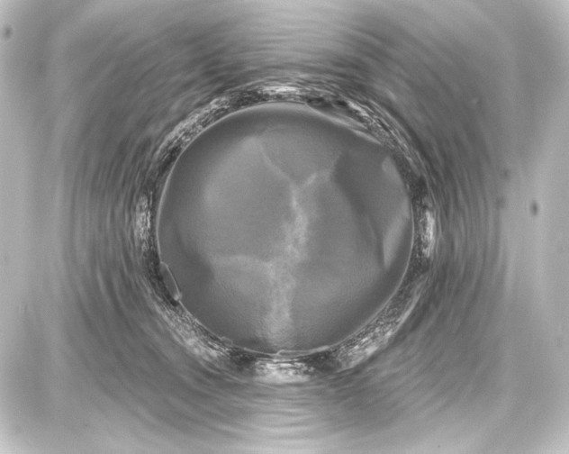 X0000087630372200705181506