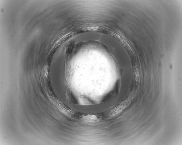 X0000087630374200705181506