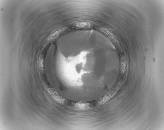 X0000087630375200705181506