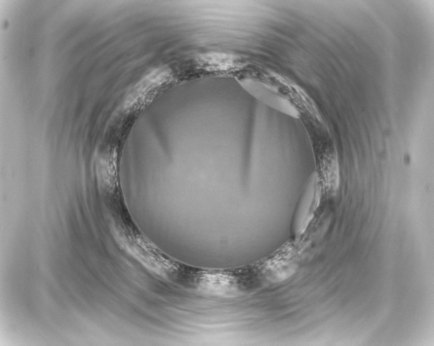 X0000087630376200705181506