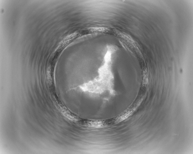 X0000087630377200705181506