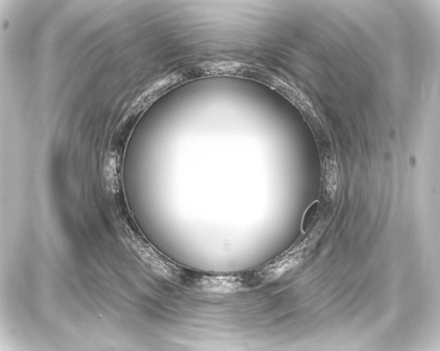 X0000087630378200705181506