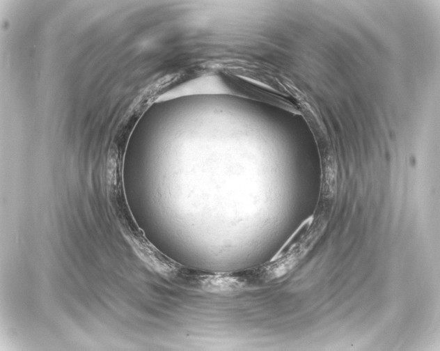 X0000087630379200705181506