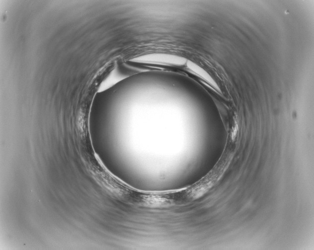 X0000087630380200705181506