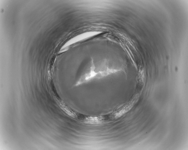 X0000087630381200705181506