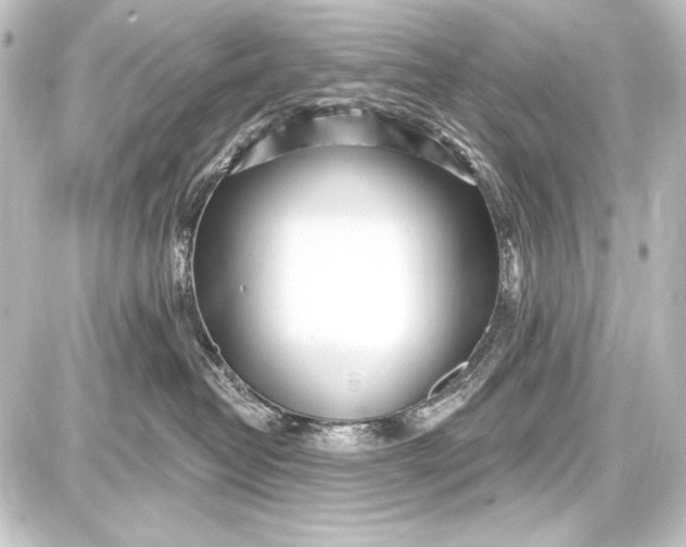 X0000087630382200705181506