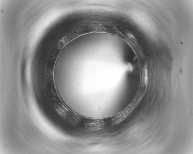 X0000087630383200705181506