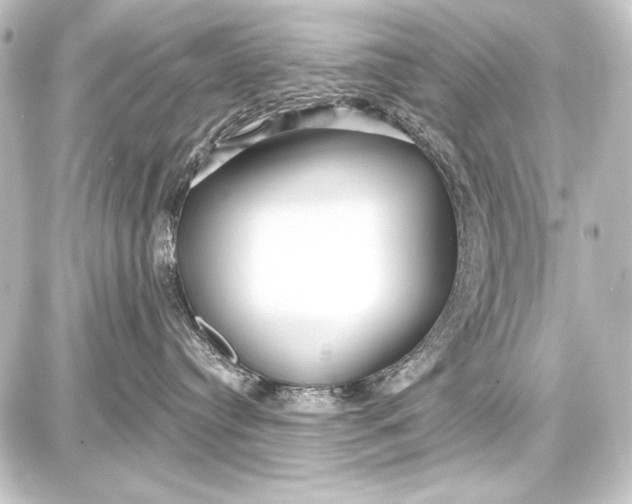 X0000087630384200705181506