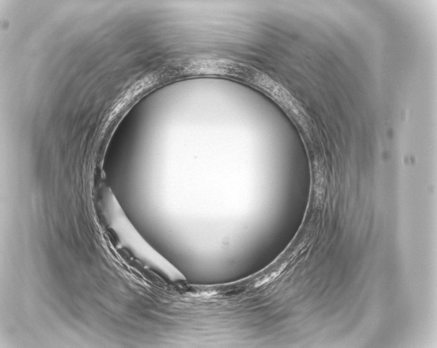 X0000087630386200705181506