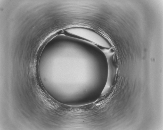 X0000087630387200705181506