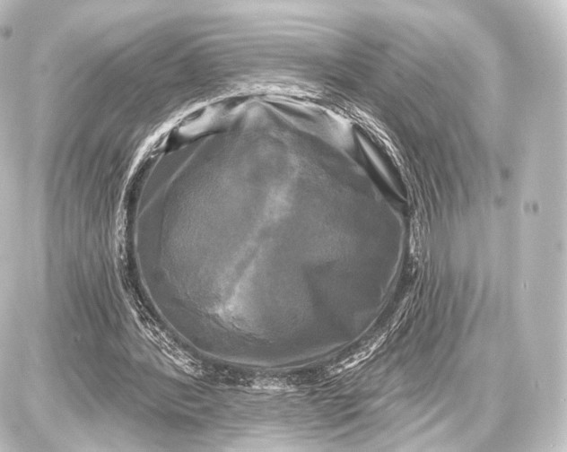 X0000087630388200705181506