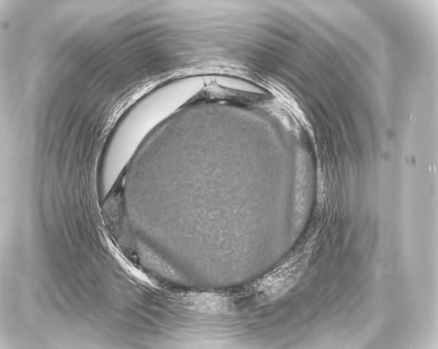 X0000087630389200705181506