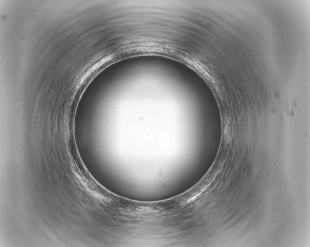 X0000087630390200705181506