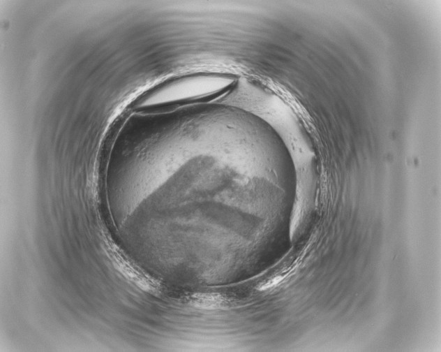 X0000087630391200705181506