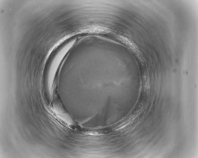 X0000087630392200705181506