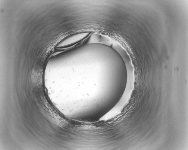 X0000087630393200705181506