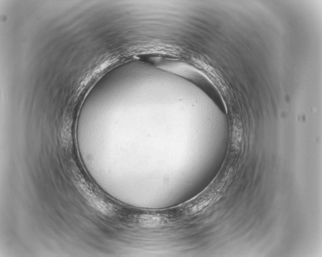 X0000087630394200705181506