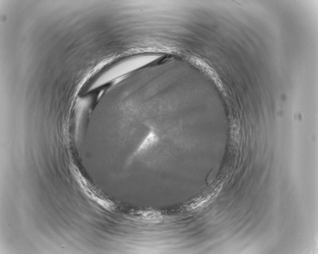 X0000087630395200705181506