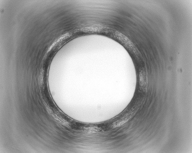 X0000087630396200705181506