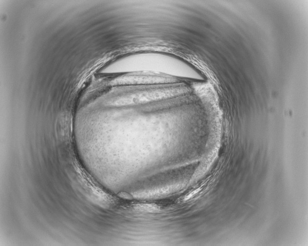 X0000087630397200705181505