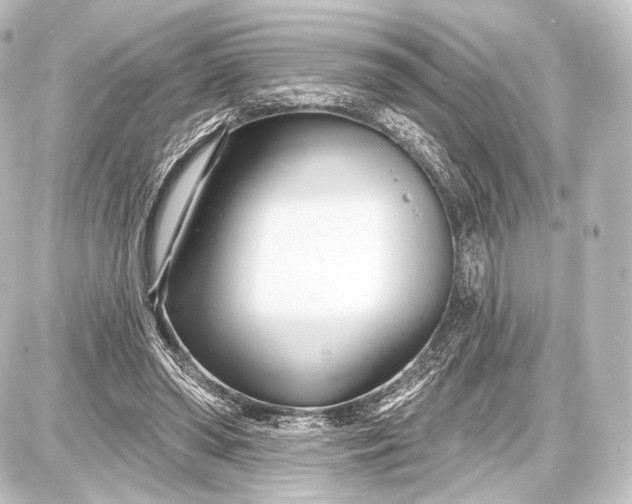 X0000087630398200705181505