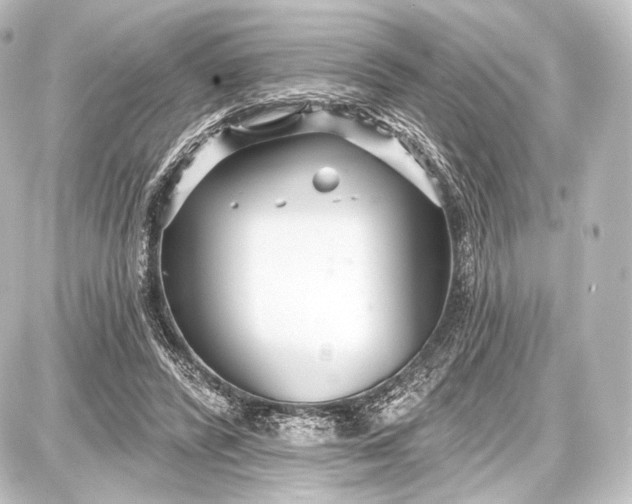 X0000087630400200705181505