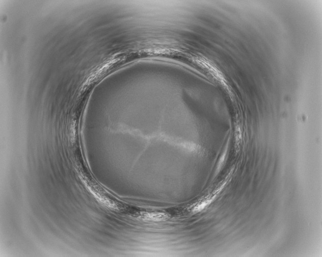 X0000087630401200705181505