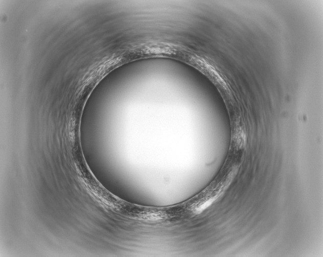 X0000087630402200705181505