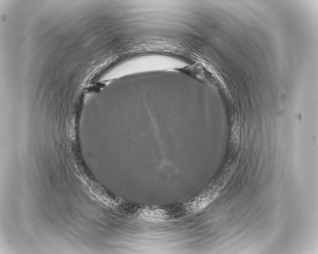 X0000087630403200705181505