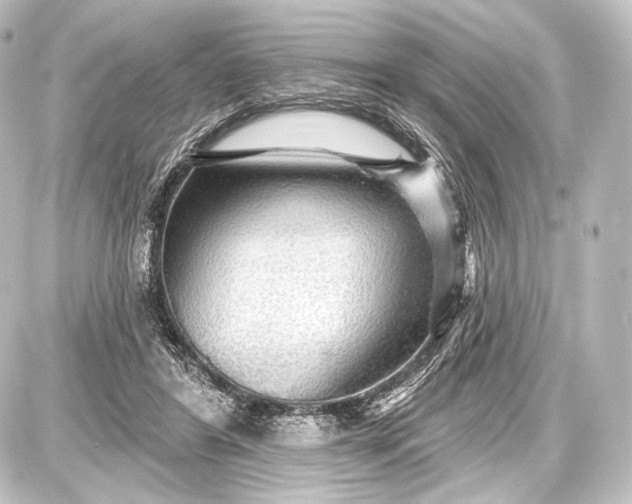 X0000087630404200705181505