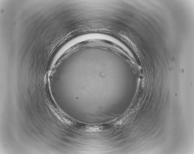 X0000087630405200705181505