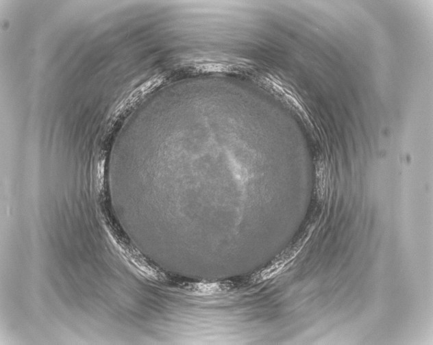 X0000087630406200705181505