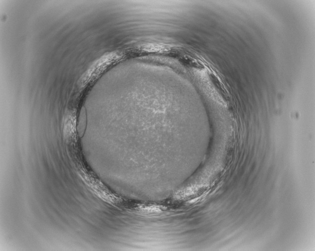 X0000087630407200705181505